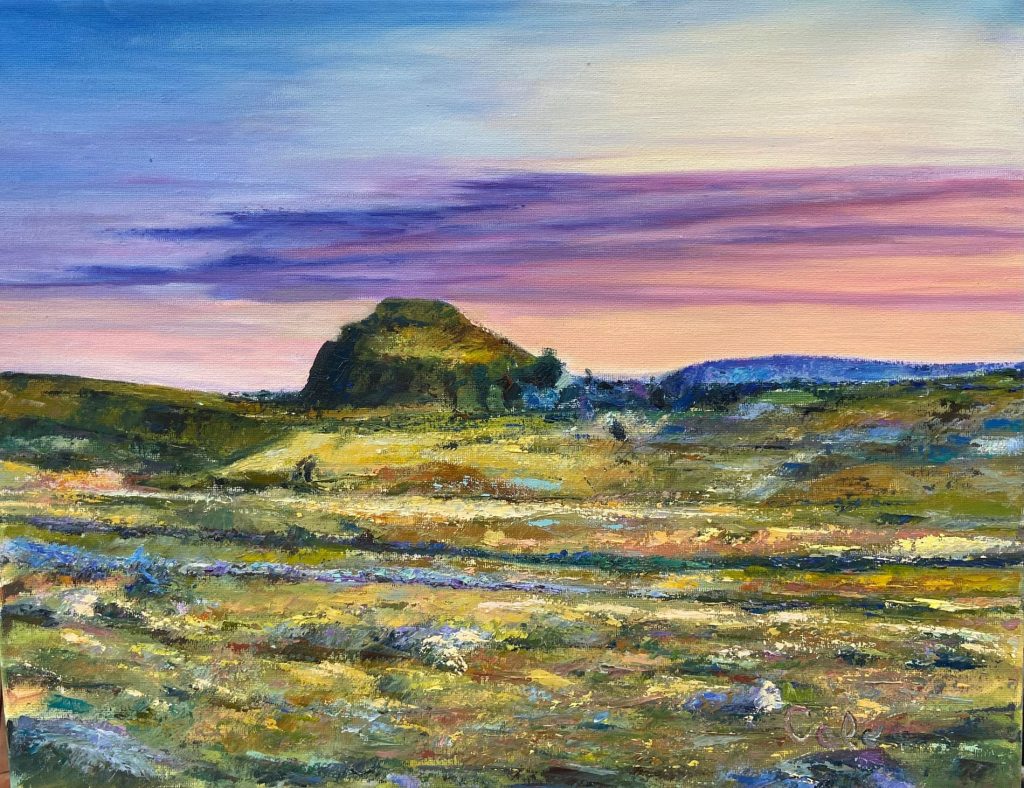 Atardecer en el campo