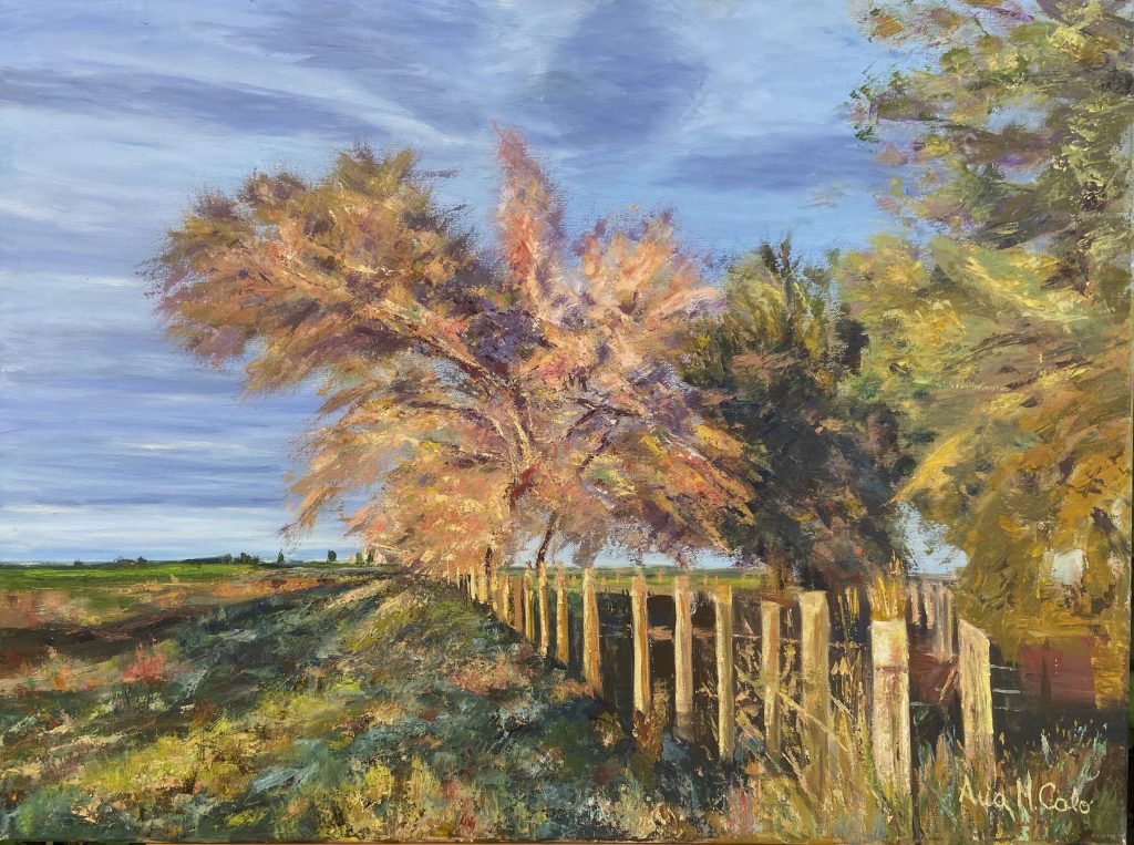 Después del Límite