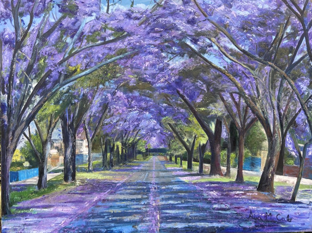 Camino del Jacarandá
